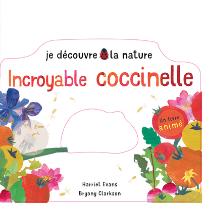 Incroyable coccinelle!